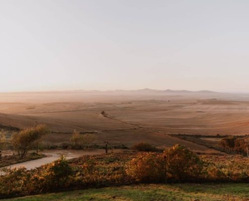 497540692_1306686044795067_1698077500518015747_n